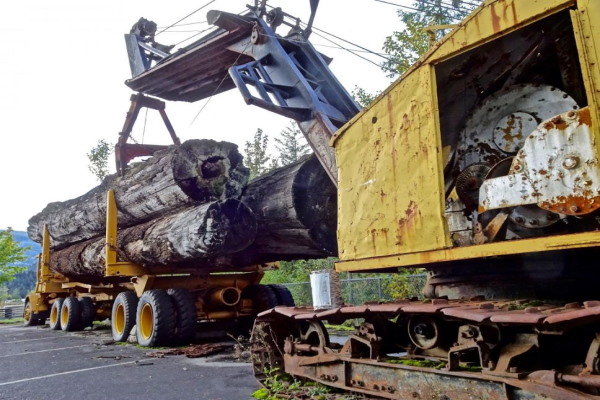 CD151 Machine rondin de boisM.jpg